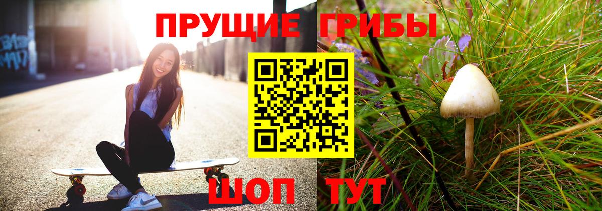 купить наркотик  Моршанск  Галлюциногенные грибы ЛСД 