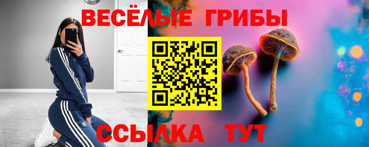 Моршанск  Галлюциногенные грибы прущие грибы  Вход с VPN 